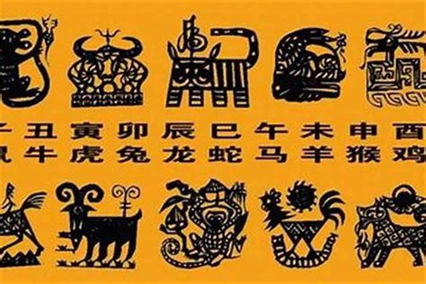 屬龍忌用字|生肖龍宜用及不宜用字